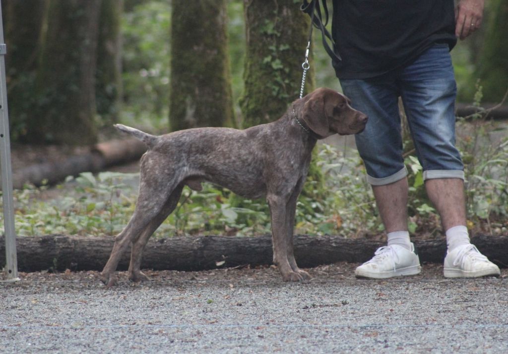 Narco Des Fontaines De Cix