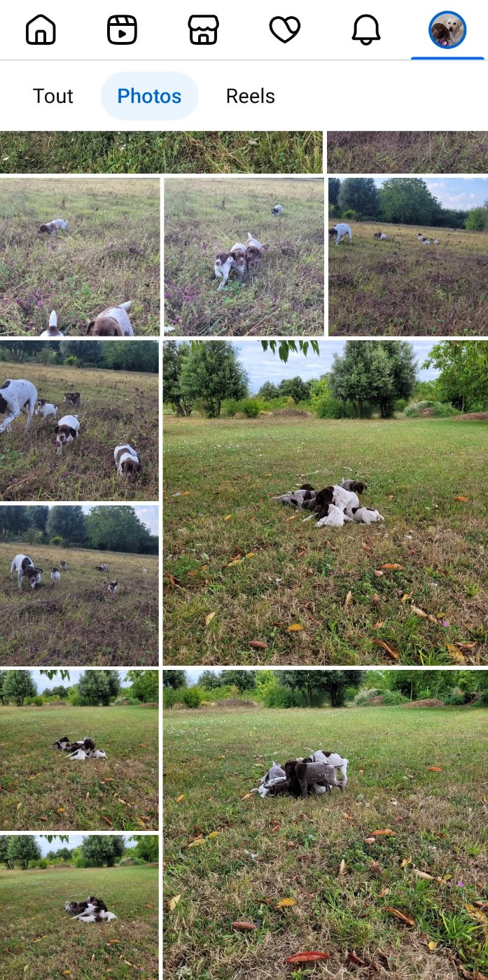 Gestation confirmée naissance mi mai