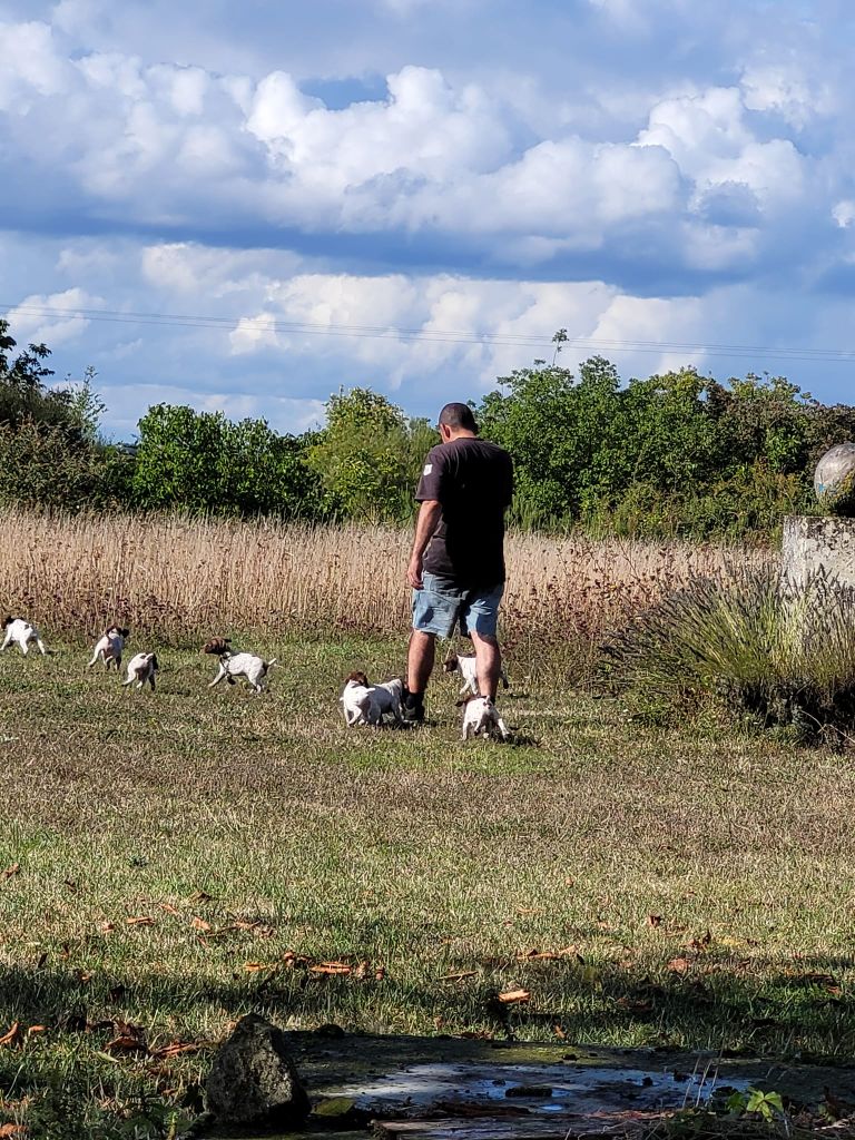 Chiots (Nilla Odin 2023)